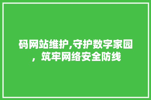 码网站维护,守护数字家园，筑牢网络安全防线