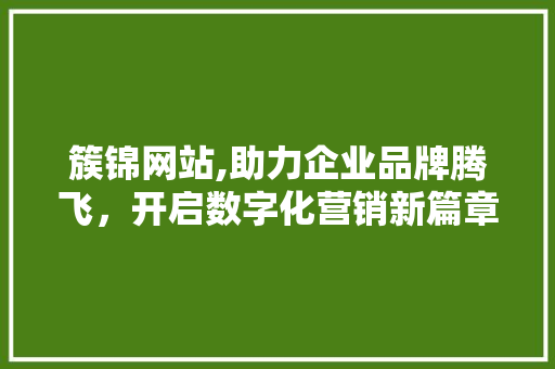 簇锦网站,助力企业品牌腾飞，开启数字化营销新篇章