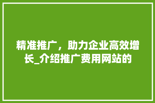 精准推广，助力企业高效增长_介绍推广费用网站的