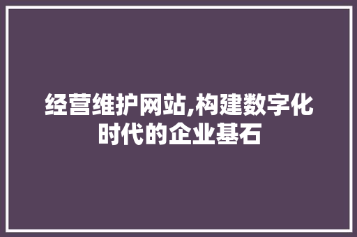 经营维护网站,构建数字化时代的企业基石