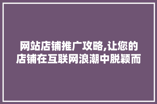 网站店铺推广攻略,让您的店铺在互联网浪潮中脱颖而出