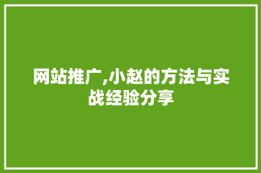 网站推广,小赵的方法与实战经验分享