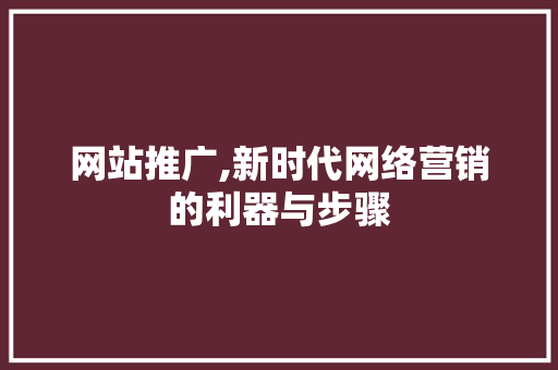 网站推广,新时代网络营销的利器与步骤