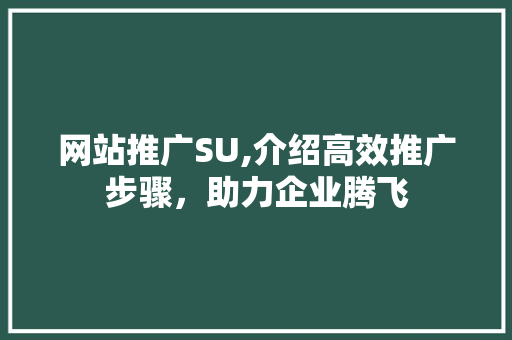 网站推广SU,介绍高效推广步骤，助力企业腾飞