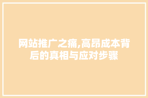 网站推广之痛,高昂成本背后的真相与应对步骤
