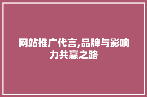 网站推广代言,品牌与影响力共赢之路
