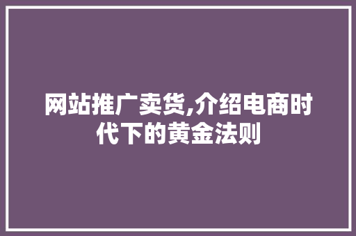 网站推广卖货,介绍电商时代下的黄金法则