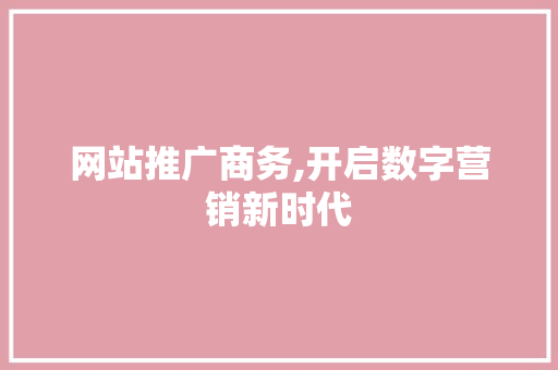网站推广商务,开启数字营销新时代