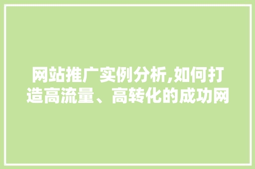网站推广实例分析,如何打造高流量、高转化的成功网站