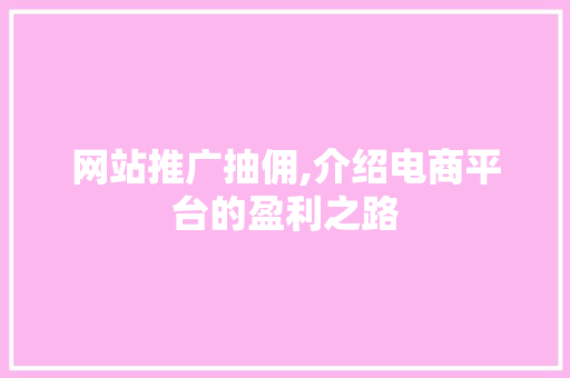 网站推广抽佣,介绍电商平台的盈利之路