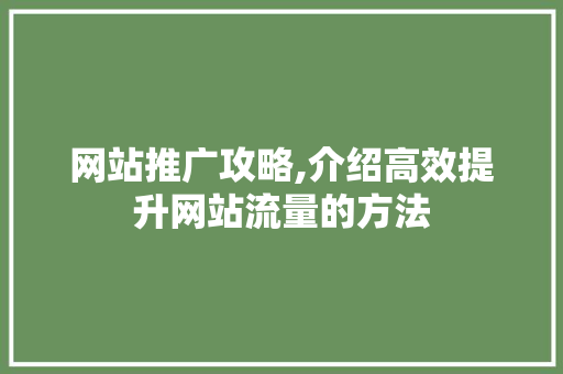 网站推广攻略,介绍高效提升网站流量的方法
