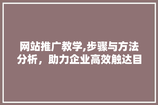 网站推广教学,步骤与方法分析，助力企业高效触达目标用户
