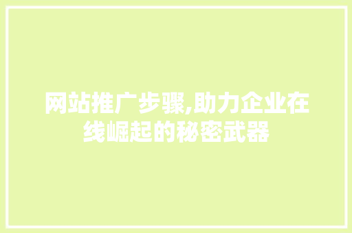 网站推广步骤,助力企业在线崛起的秘密武器