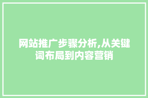 网站推广步骤分析,从关键词布局到内容营销