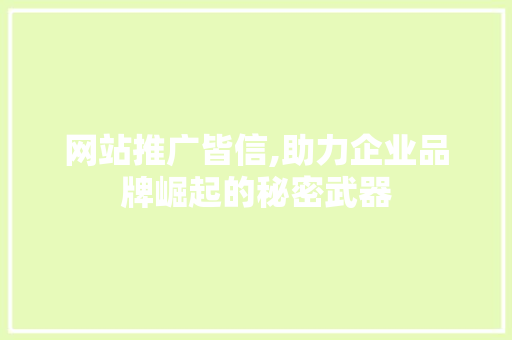 网站推广皆信,助力企业品牌崛起的秘密武器