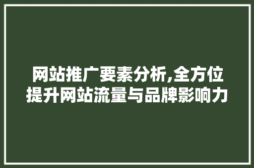 网站推广要素分析,全方位提升网站流量与品牌影响力