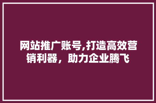 网站推广账号,打造高效营销利器，助力企业腾飞