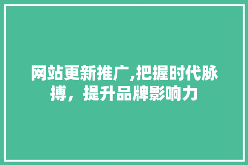 网站更新推广,把握时代脉搏，提升品牌影响力