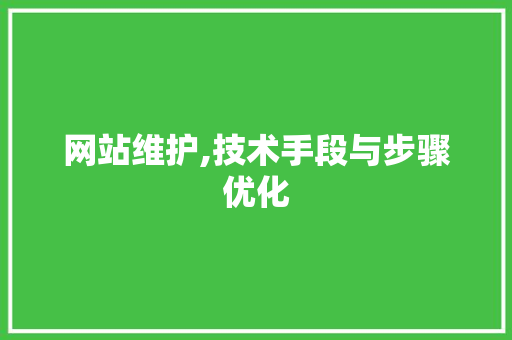 网站维护,技术手段与步骤优化