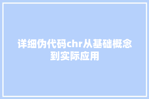 详细伪代码chr从基础概念到实际应用