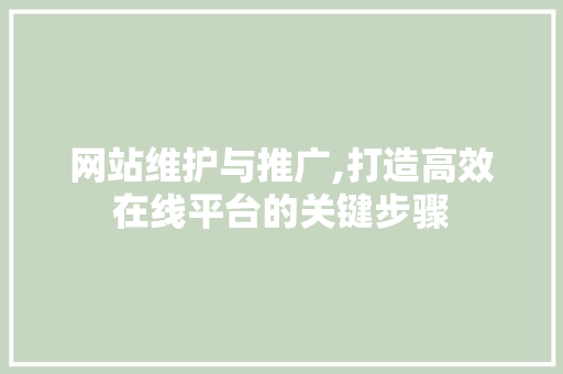 网站维护与推广,打造高效在线平台的关键步骤