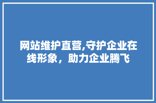 网站维护直营,守护企业在线形象，助力企业腾飞