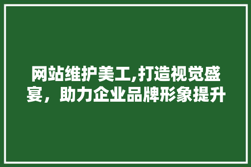网站维护美工,打造视觉盛宴，助力企业品牌形象提升