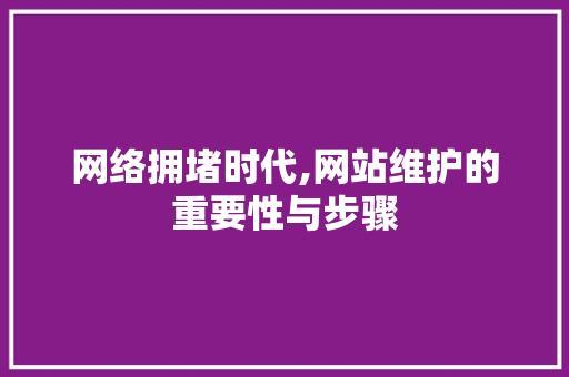 网络拥堵时代,网站维护的重要性与步骤