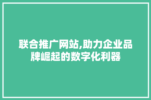 联合推广网站,助力企业品牌崛起的数字化利器  第1张