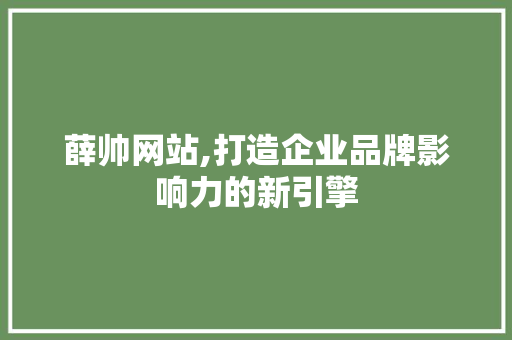 薛帅网站,打造企业品牌影响力的新引擎