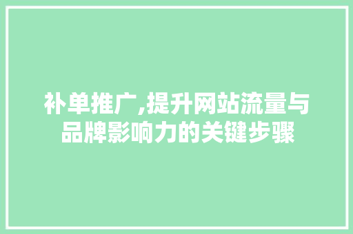补单推广,提升网站流量与品牌影响力的关键步骤