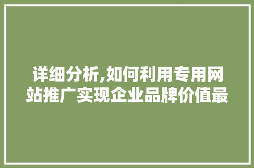 详细分析,如何利用专用网站推广实现企业品牌价值最大化