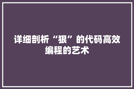 详细剖析“狠”的代码高效编程的艺术