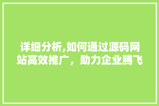 详细分析,如何通过源码网站高效推广，助力企业腾飞