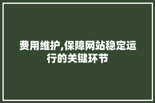 费用维护,保障网站稳定运行的关键环节