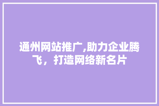 通州网站推广,助力企业腾飞，打造网络新名片