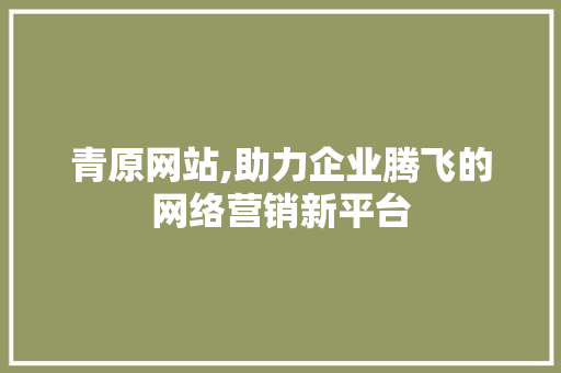 青原网站,助力企业腾飞的网络营销新平台