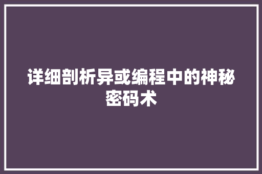 详细剖析异或编程中的神秘密码术