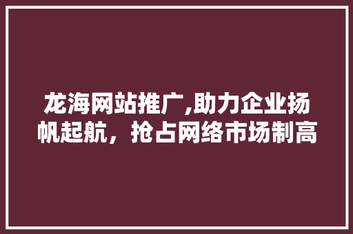 龙海网站推广,助力企业扬帆起航，抢占网络市场制高点