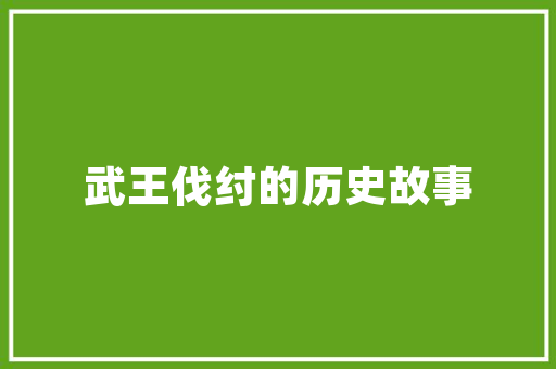 30岁开始学习SEO,逆袭之路，从掌握搜索引擎优化开始