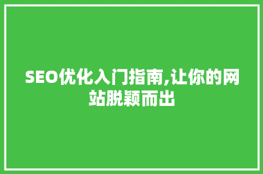 SEO优化入门指南,让你的网站脱颖而出