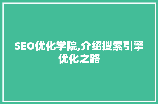 SEO优化学院,介绍搜索引擎优化之路