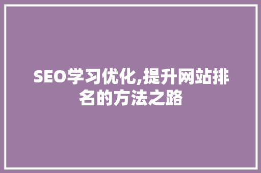 SEO学习优化,提升网站排名的方法之路  第1张