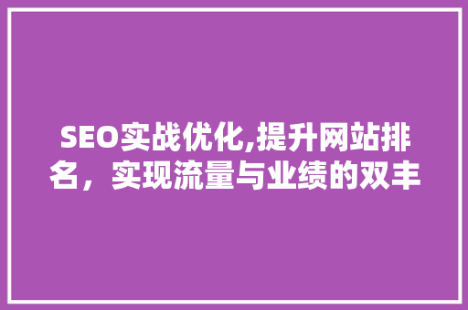 SEO实战优化,提升网站排名，实现流量与业绩的双丰收