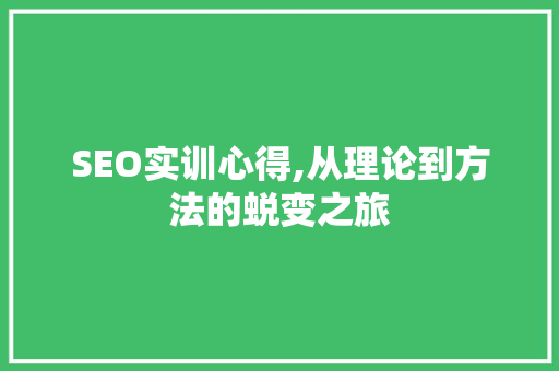 SEO实训心得,从理论到方法的蜕变之旅