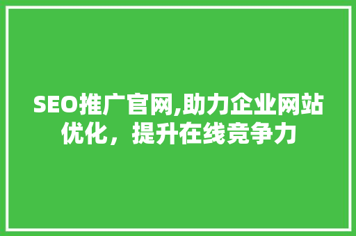 SEO推广官网,助力企业网站优化，提升在线竞争力