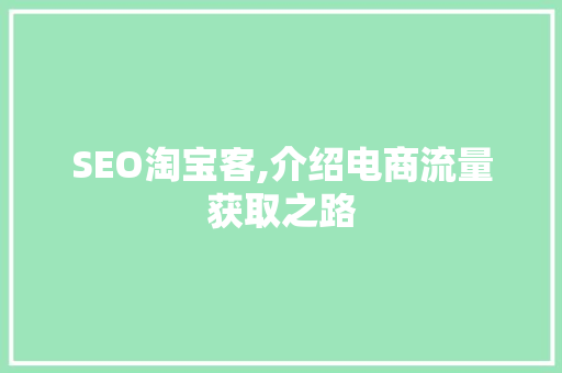 SEO淘宝客,介绍电商流量获取之路
