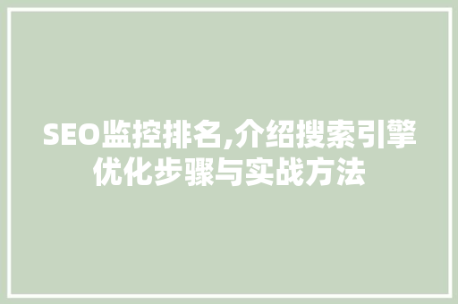SEO监控排名,介绍搜索引擎优化步骤与实战方法
