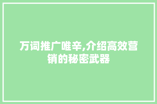 万词推广唯辛,介绍高效营销的秘密武器