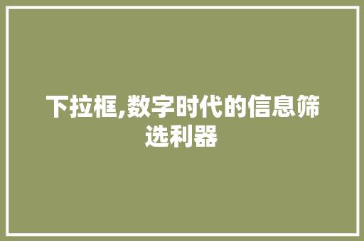 下拉框,数字时代的信息筛选利器